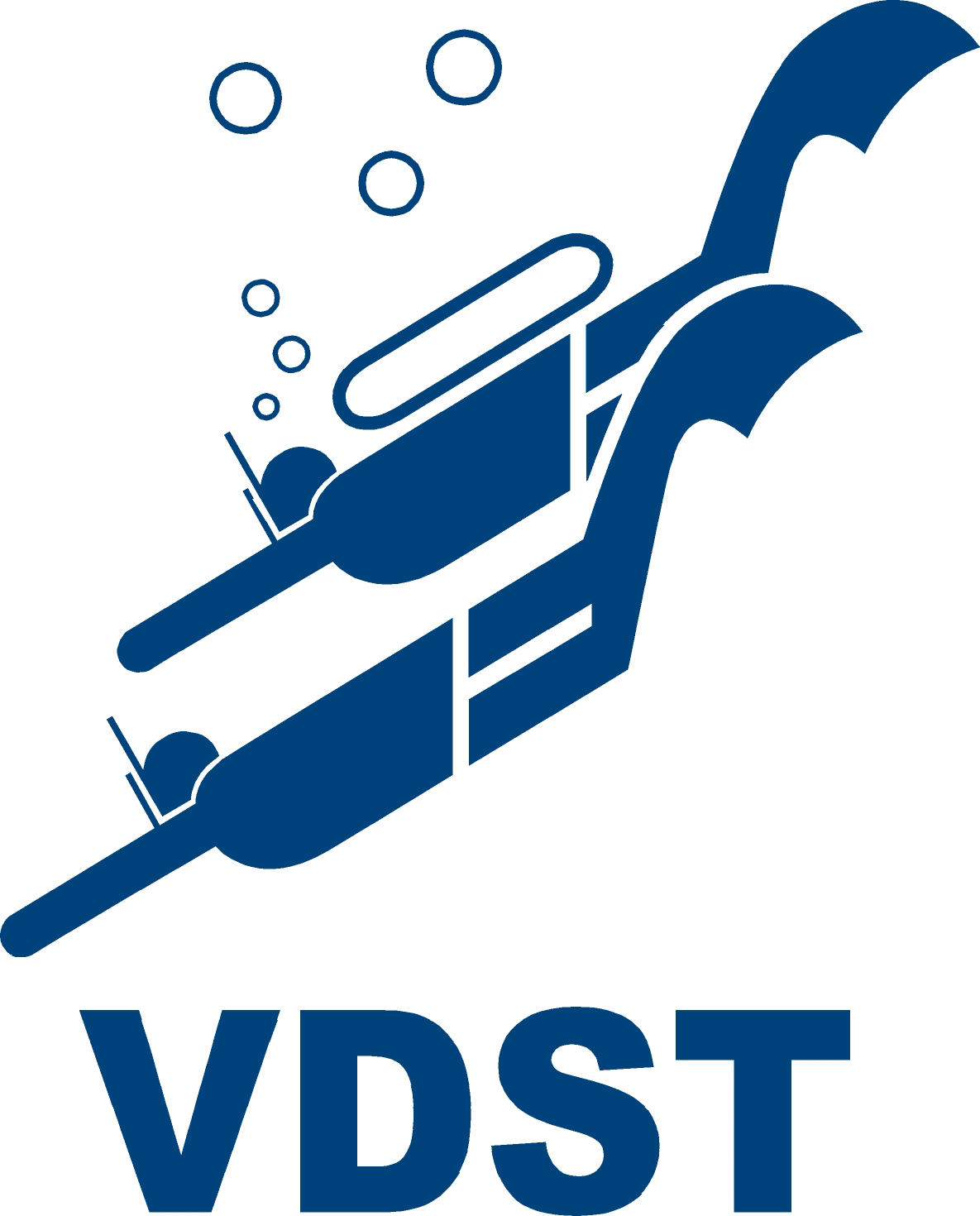 Logo VDST